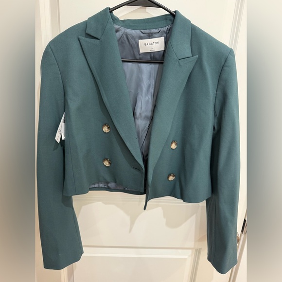 Aritzia Babaton Lalonde wool blazer NWT - Picture 1 of 4